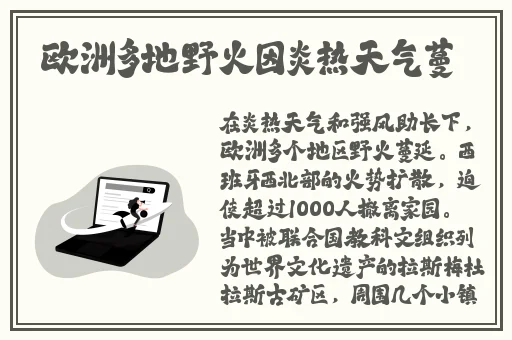 欧洲精品卡1区2卡三卡四卡